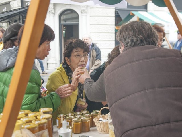 Festival2015 slika7