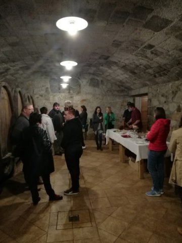 TP-Medgeneracijsko