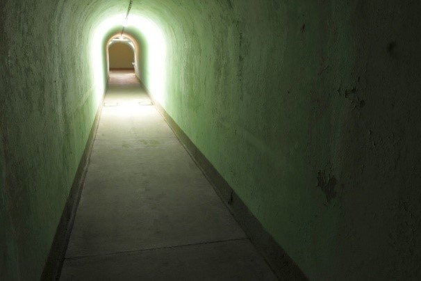 17. občni zbor članov DRSP