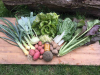 Kmetija Zlate misli - oskrba s hrano z nizkimi izpusti toplogrednih plinov