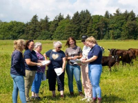 Delavnica EU mreže SKP: Inovacije na podeželju, ki jih vodijo ženske, 17. in 18. 4. 2024
