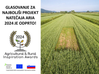 Odprto je glasovanje za finaliste natečaja ARIA 2024