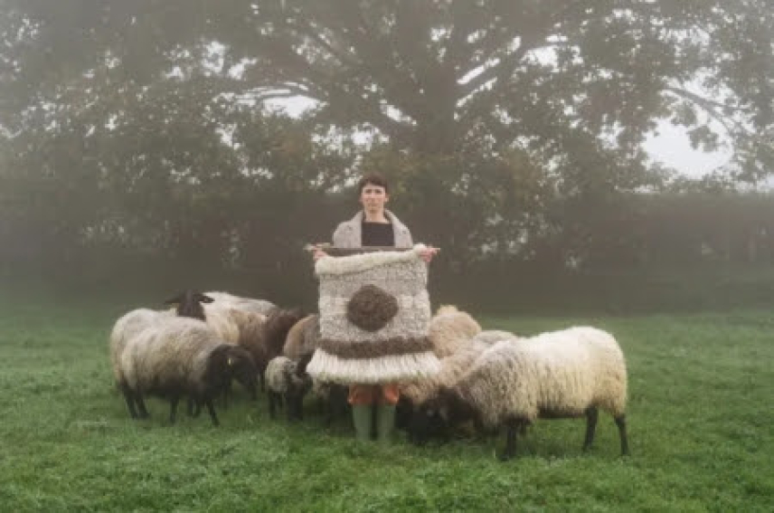 Revitalizacija podeželske ekonomije skozi umetnost: vpogledi iz baskovskega projekta