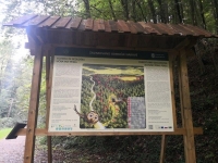 Tematska učna pot: Gozdovi so pljuča Pekla (LEADER)