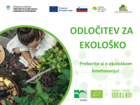Odločitev za ekološko kmetijstvo – preberite si o ekološkem kmetovanju v Sloveniji!